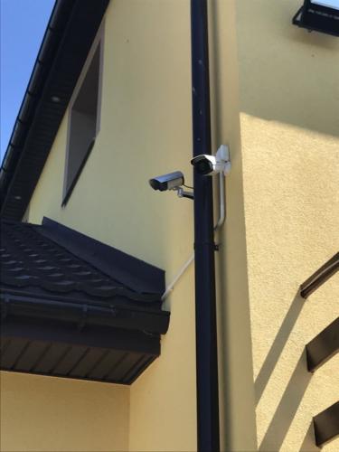 internec 4w1 2mpx